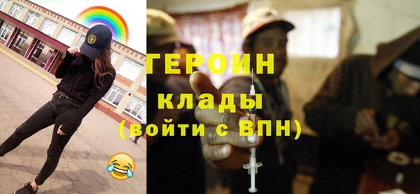 гидра Инта