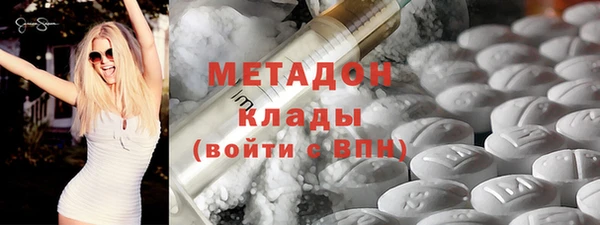 гидра Инта