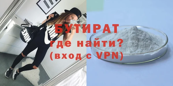 гидра Инта