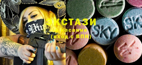 гидра Инта