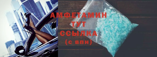 гидра Инта