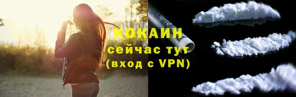 гидра Инта