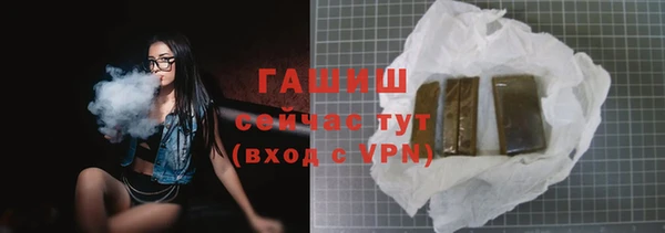 гидра Инта