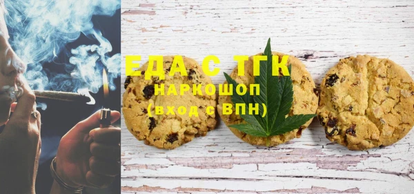 гидра Инта