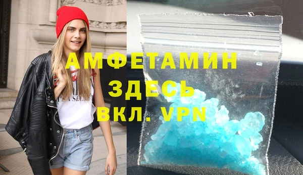 гидра Инта