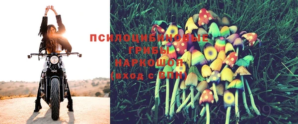 наркотики Инсар