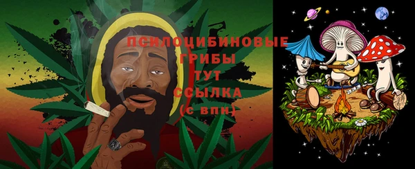 гидра Инта