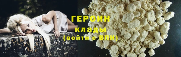 гидра Инта