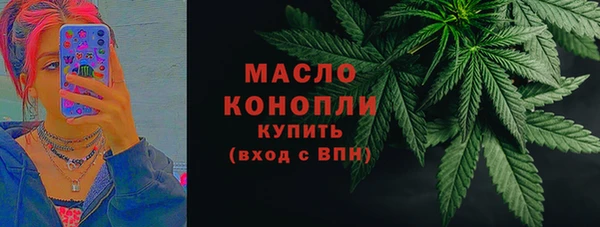 гидра Инта