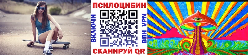 Купить  Злынка  Галлюциногенные грибы GOLDEN TEACHER 